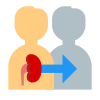 Organ Transplant